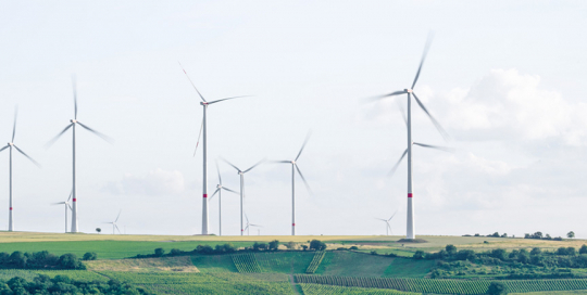 diferencia-carbon-zero-y-carbon-neutral diferencia entre carbón zero y carbón neutral