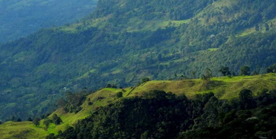 colombia-compensacion-carbono colombia compensacion carbono