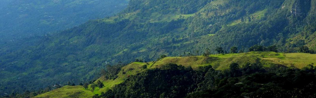 colombia compensacion carbono