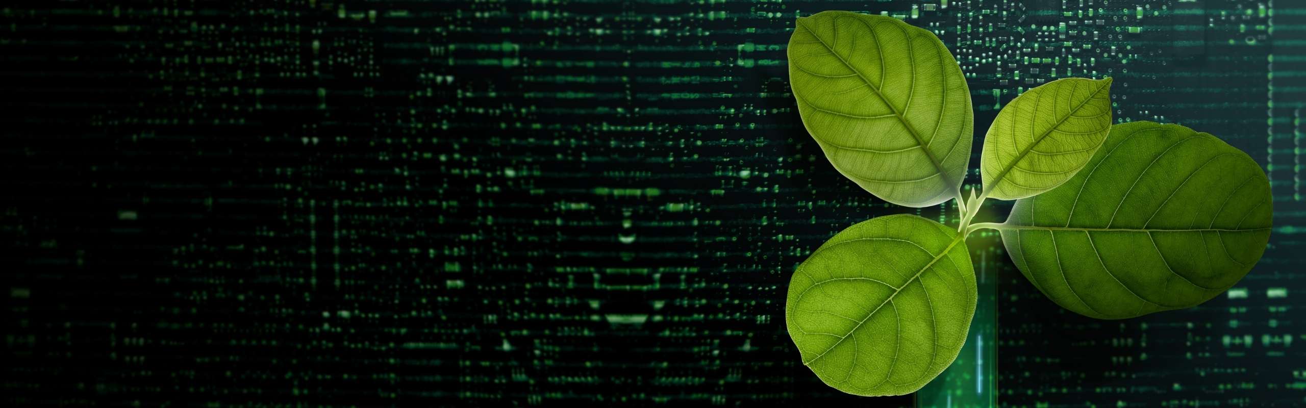 ESG transparency