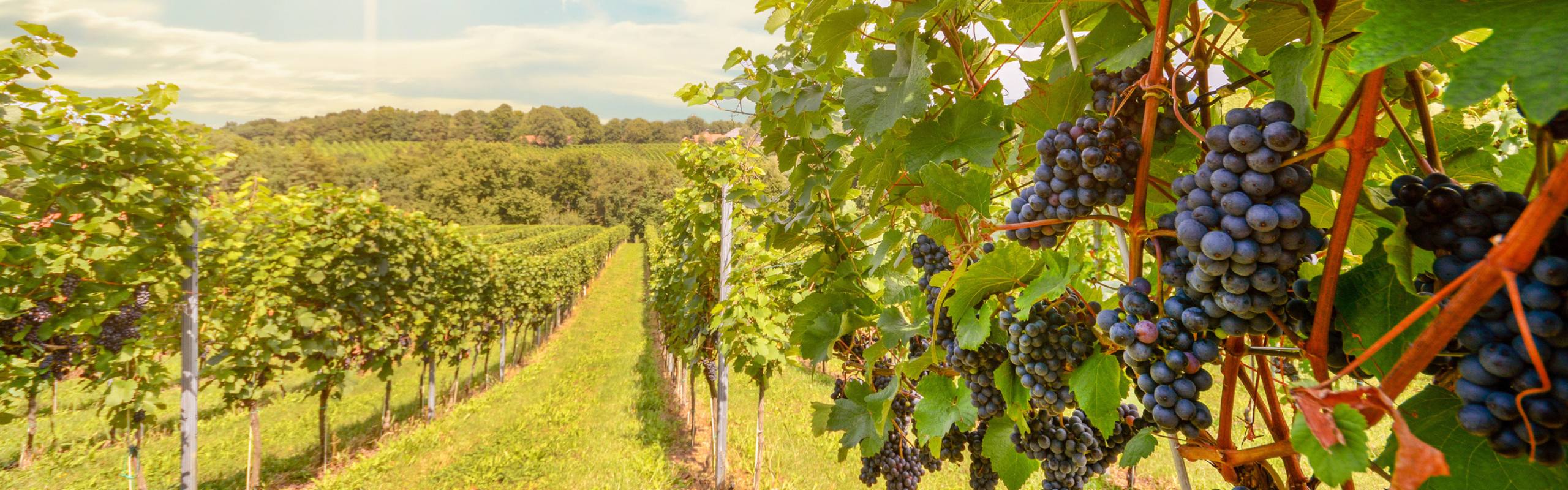 carbon farming