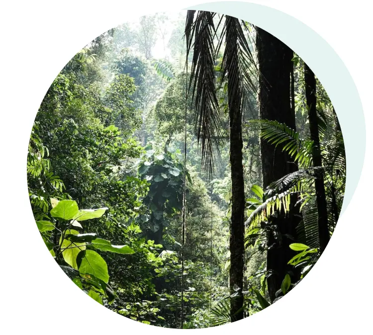 Biodiversity credits