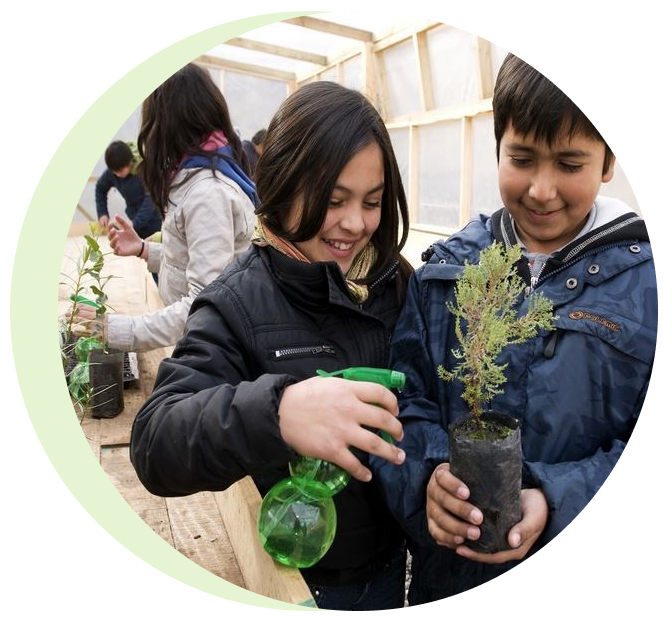 Community projects carbon credits