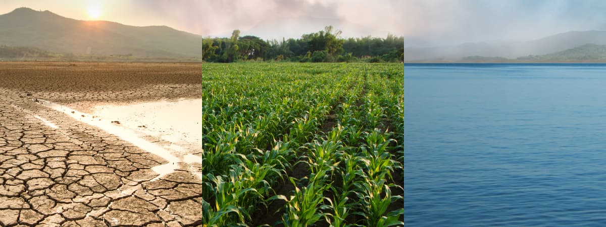 carbon credits