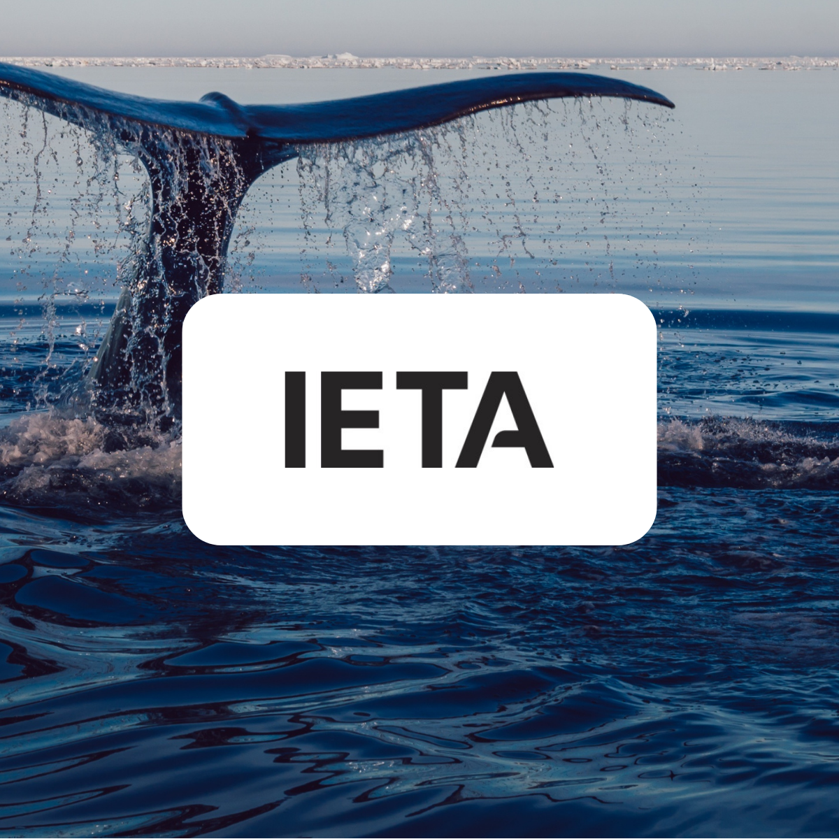 IETA