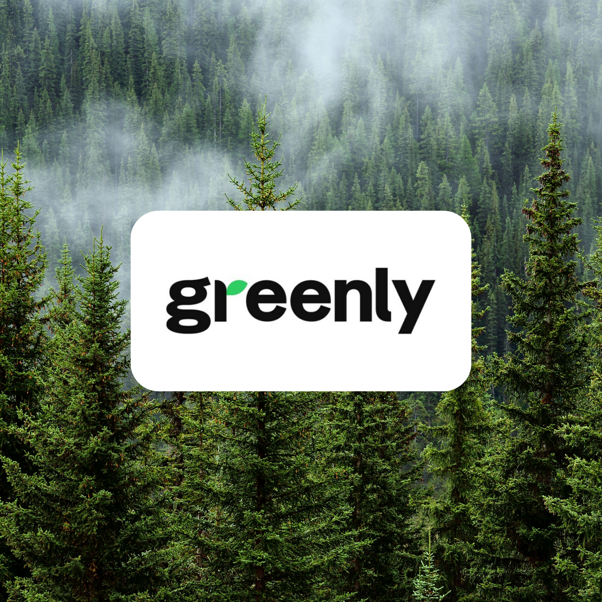 ClimateTrade Partner Greenly