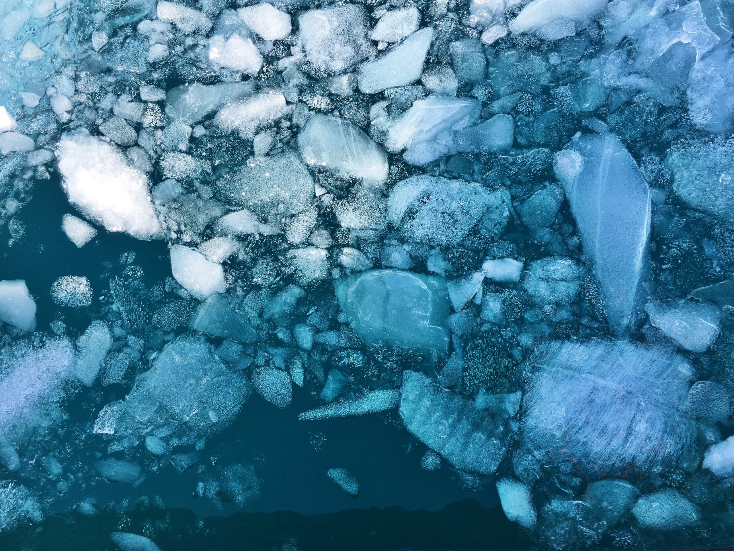 cassie-matias-Wgjlk0Lo7-A-unsplash (1) Ice Cap