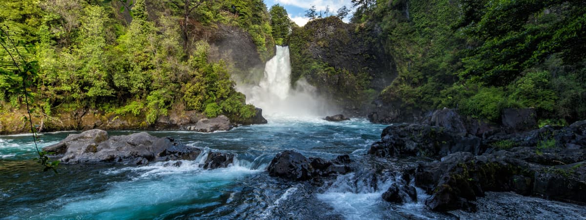 The Business Case for Biodiversity Credits: Transportation Edition