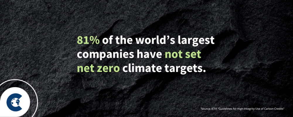 Reviewing IETA's latest guidelines for high integrity use of carbon credits