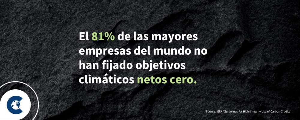 Revisión de las últimas directrices de la IETA para el uso de créditos de carbono de alta integridad