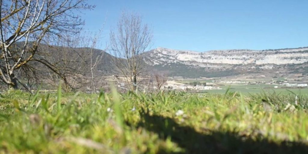 Back ASOCIACIÓN REFOREST PROJECT