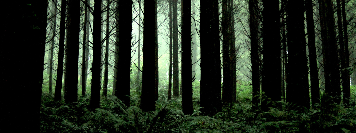 The time for high-quality carbon offsets and scalable climate solutions is now. The time for high-quality carbon offsets and scalable climate solutions is now.