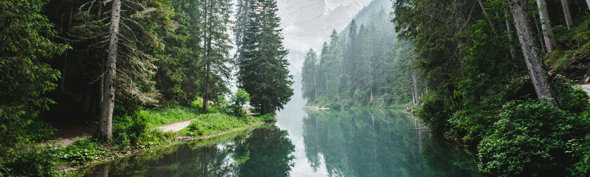 Why is the EU Nature Restoration Law a landmark achievement for Europe’s biodiversity and climate goals? Why is the EU Nature Restoration Law a landmark achievement for Europe’s biodiversity and climate goals?