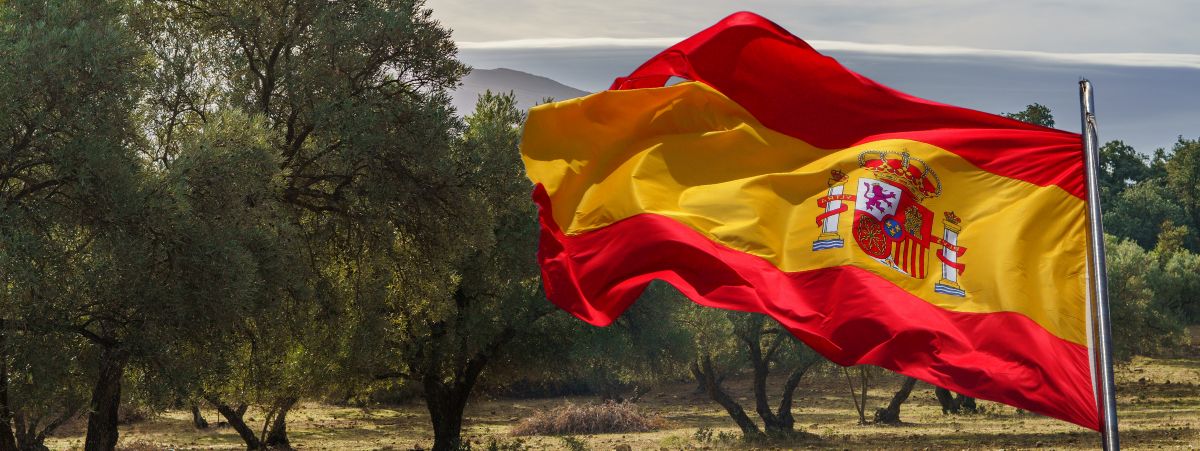 Blog Header Images Real Decreto 214/2025